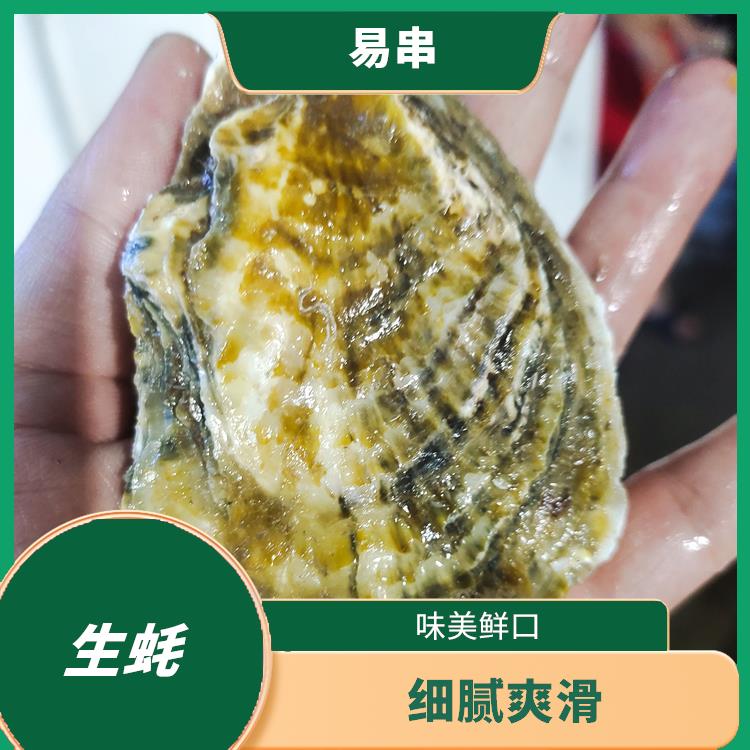 广东乳山生蚝供应商 肉质鲜美 货发全国