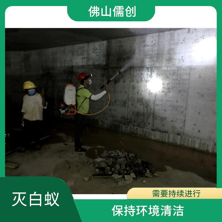開平白蟻防治哪家好 果蠅防治 可提供定制化方案