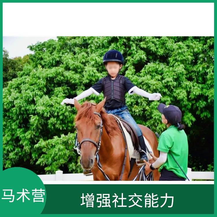 深圳国际马术营 增强孩子的自信心 促进身心健康