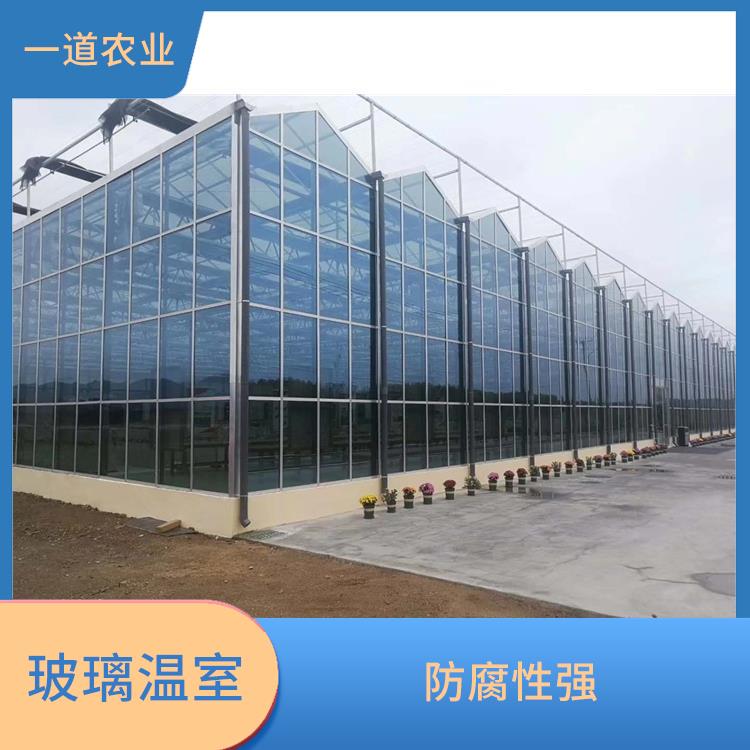 林芝连栋玻璃温室 维护方便 展示效果佳