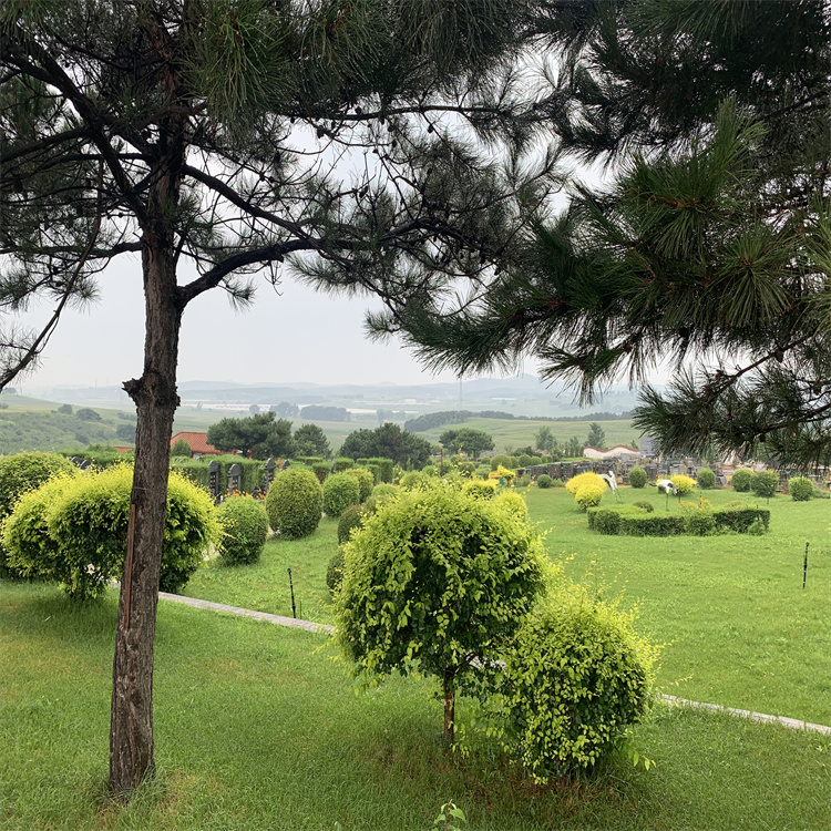 永乐青山墓地