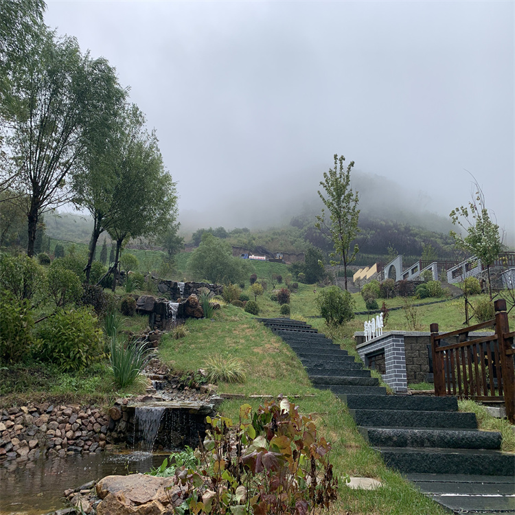 沈阳墓园地址 通常位于城市或乡村的边缘