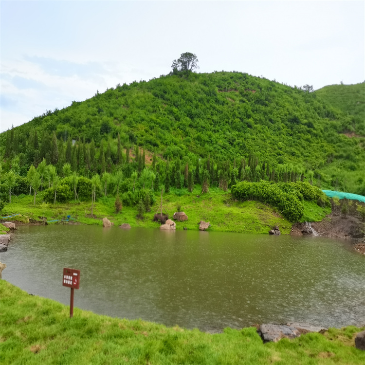 森林纪念园公墓地址 远离城市的喧嚣和繁忙