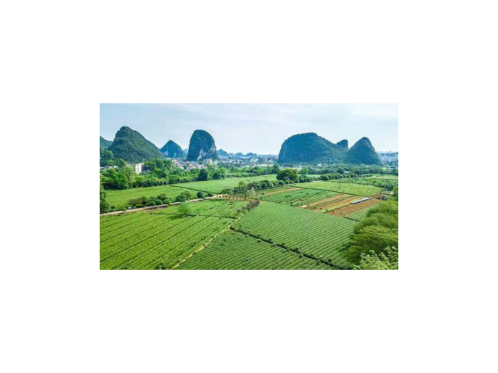 生物绿色**农业水产 龙山县绿尔康食品供应