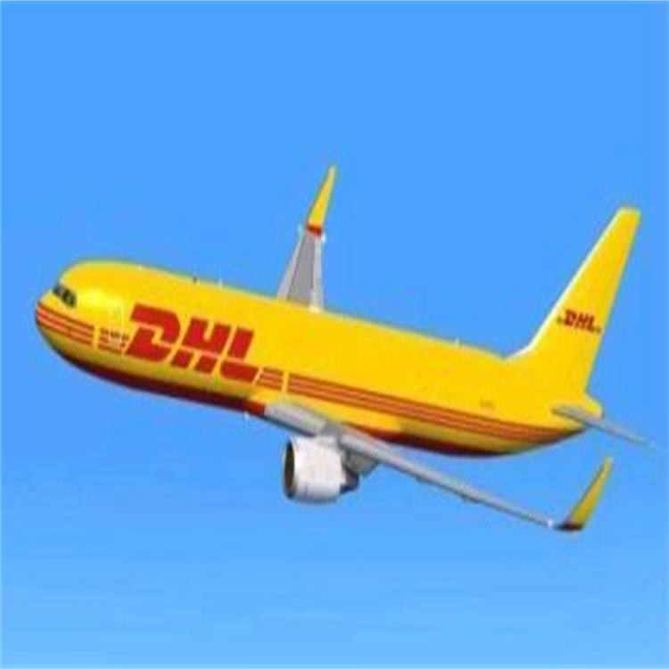 临安市DHL国际快递电话-时效稳定 一站式服务