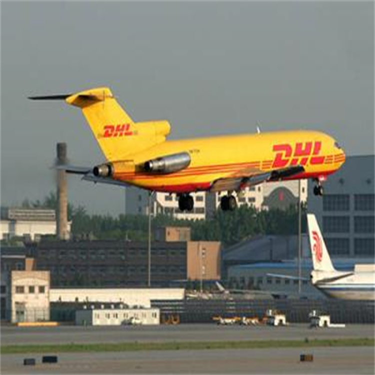 越城区 DHL国际快递电话-时效稳定 一站式服务