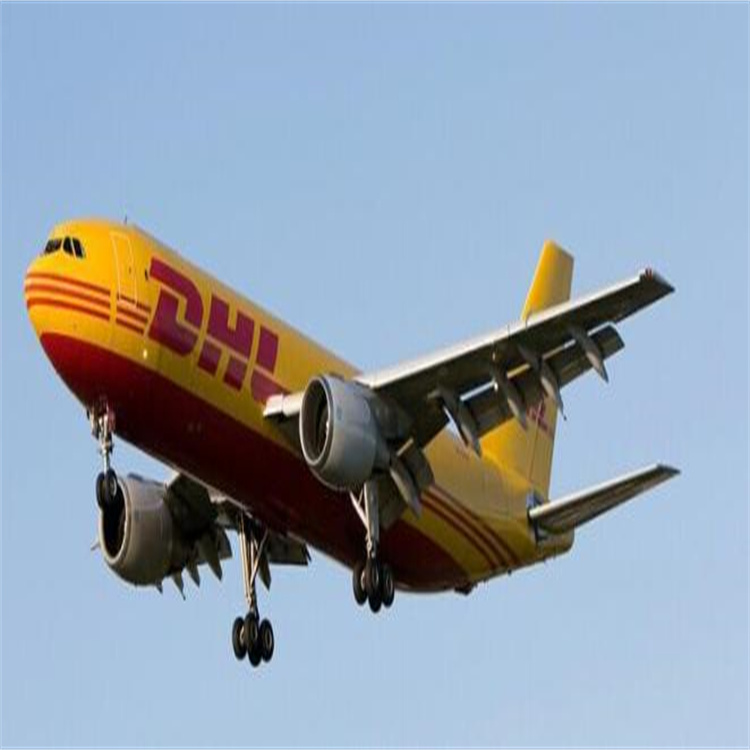 定海区DHL国际快递电话-提供包装