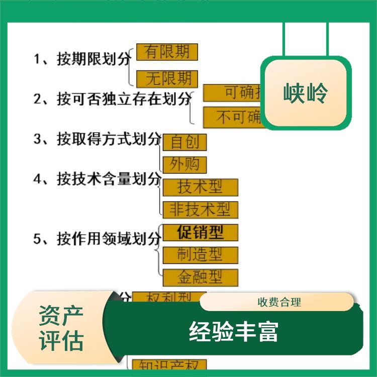 发明**评估需要提供资料 报告严谨 评估流程标准化