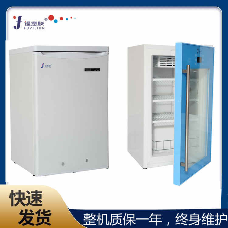 零下10度冰箱 负10℃冰柜 带锁-10度低温保存箱
