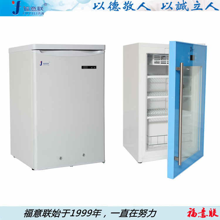 零下-20度低温冰箱/冰柜/冷柜