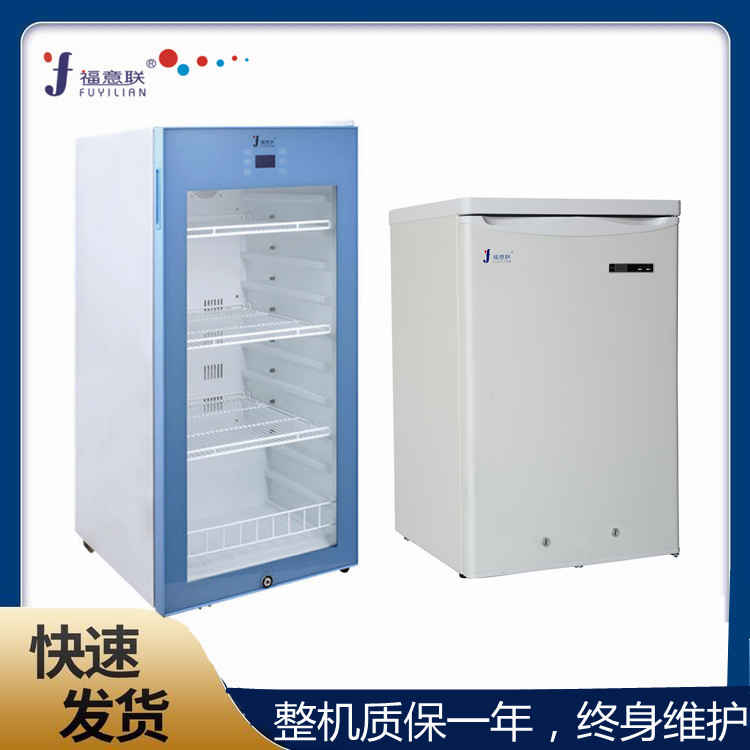 零下20度低温储存箱 低温药品储存柜 -20度冰柜
