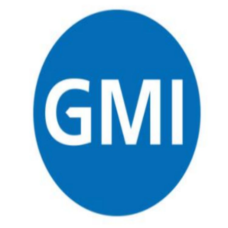 GMI认证现场评估流程 镇江Best Buy验厂审核流程
