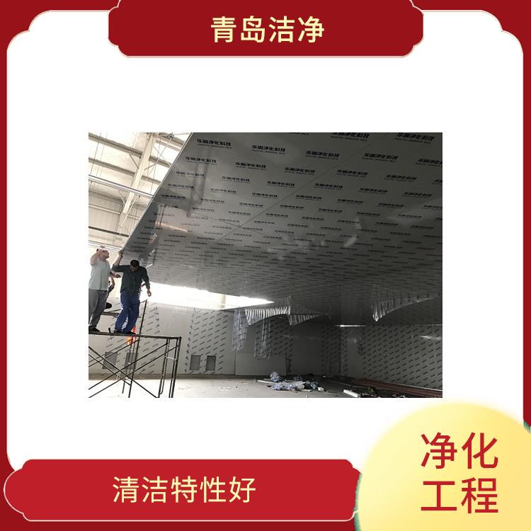 泰安净化工程吊顶设计 严格施工标准 应用范围广泛