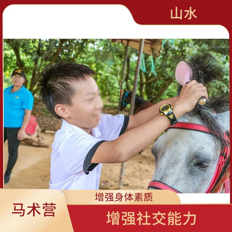 广州国际马术营报名 培养孩子的责任感 培养兴趣爱好