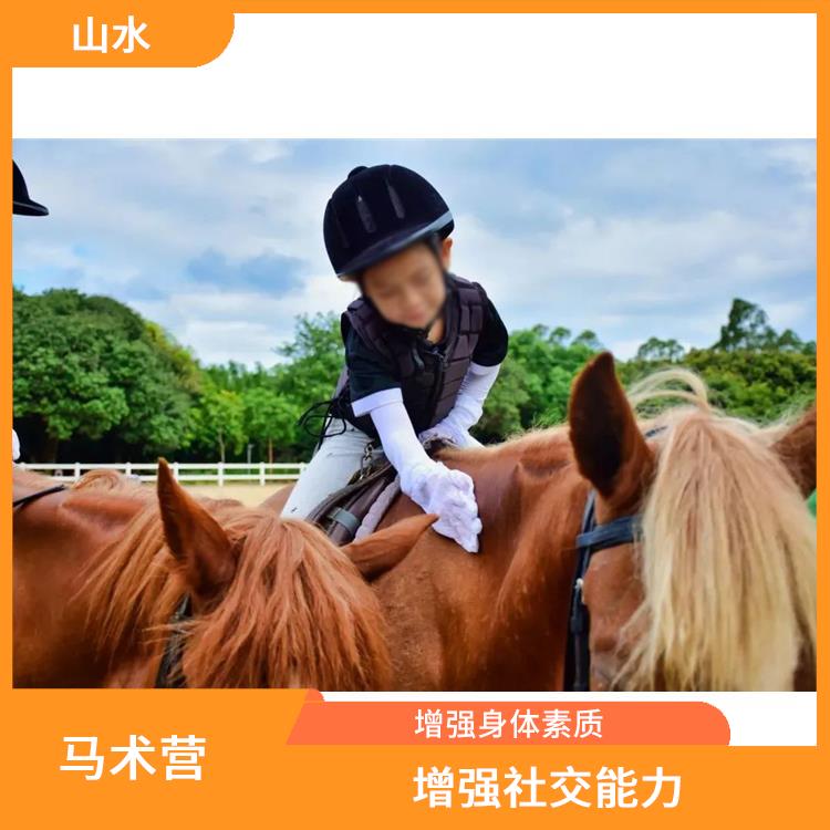 广州国际马术营 增强孩子的自信心 增强社交能力