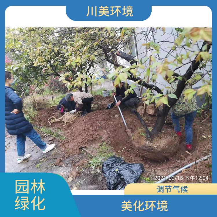 武汉城市园林绿化 改善空气质量