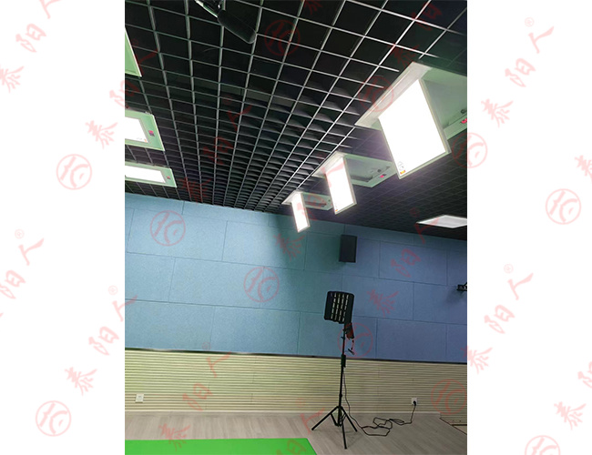 泰阳人 舞台灯LED三基色会议灯嵌入式可调角度演播摄影补光灯