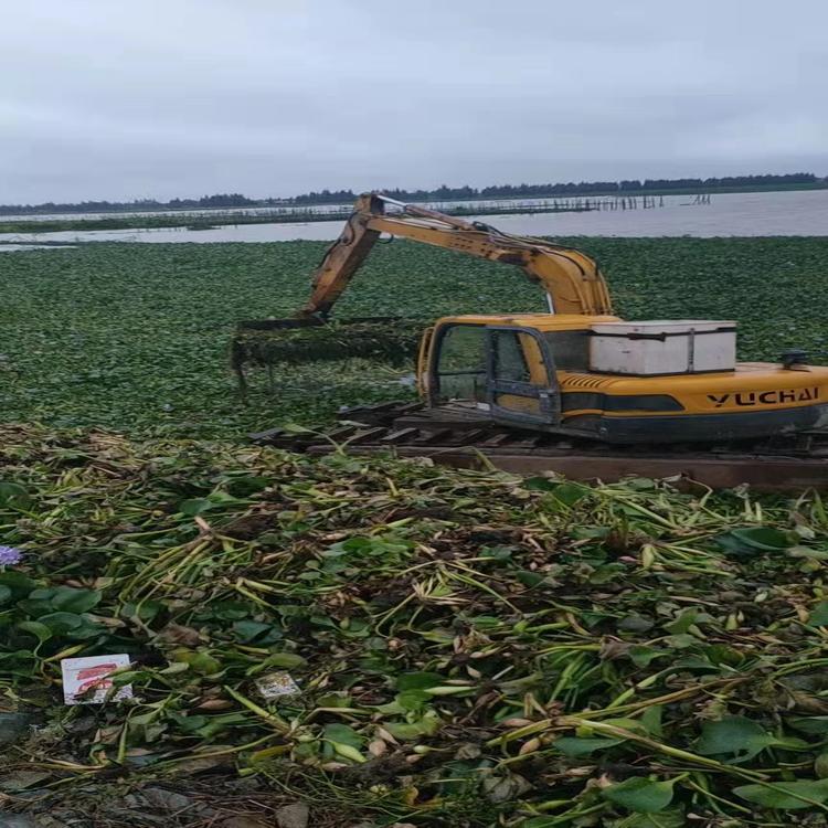 小型 儋州湿地船挖机租赁