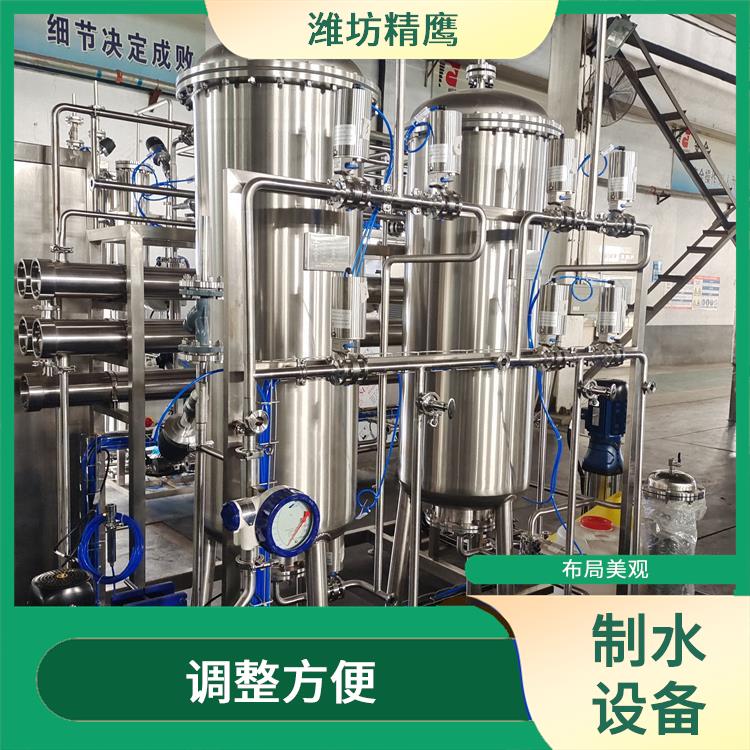 广东纯化水设备 模块化设计 方便操作和维护