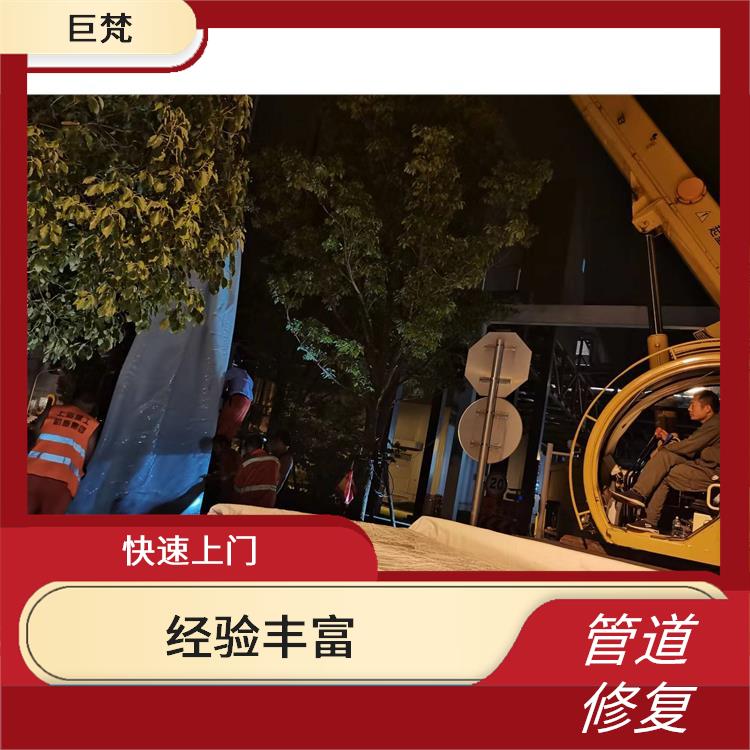 金山区地下管道检测哪家好 服务快捷 施工规范化