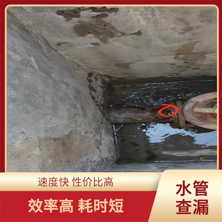 上海消防水管查漏 速度快 性价比高 方式灵活 手段众多