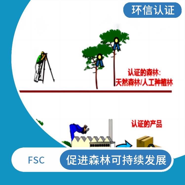 FSC认证是什么意思 促进森林可持续发展 严格的评估标准