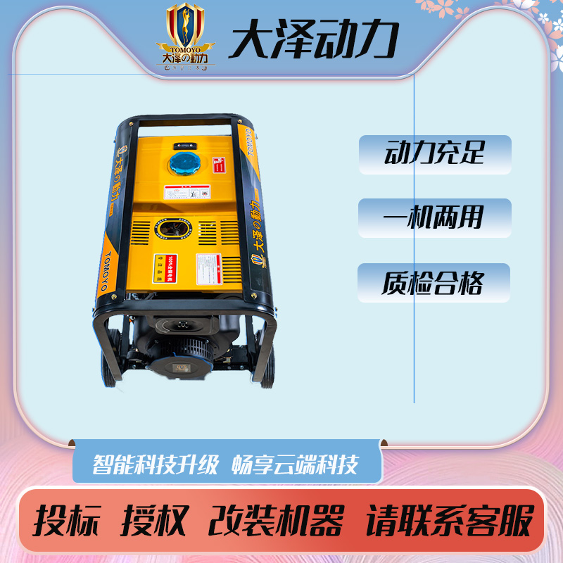 190A柴油发电电焊机大泽动力TO190A