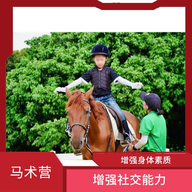 广州国际马术营报名 培养孩子的责任感 增强身体素质