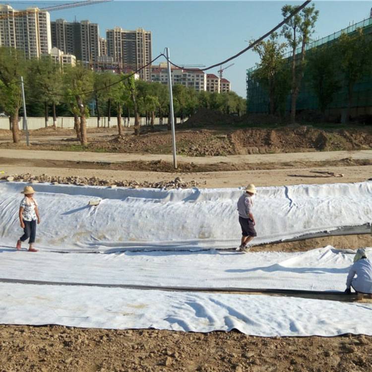 包头人工湖防水毯 垃圾填埋场 覆膜防渗膨润土垫施工