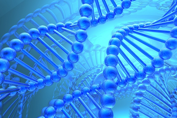 基因突变试验-基因突变试验方法