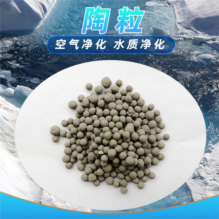 杭州生物陶粒滤料 轻质挂膜生物陶粒滤料
