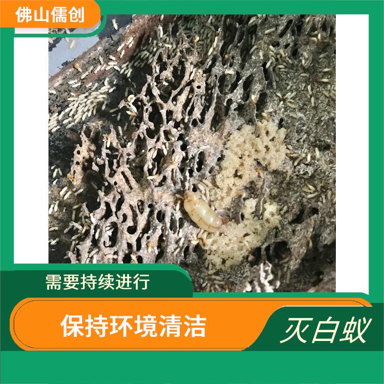 江门蓬江白蚁防治 蜱虫 多种方式进行消除