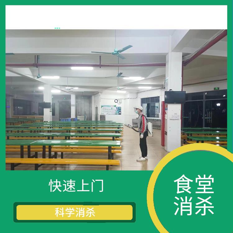 顺德区均安镇食堂消杀哪家好 害虫防治 保持环境清洁