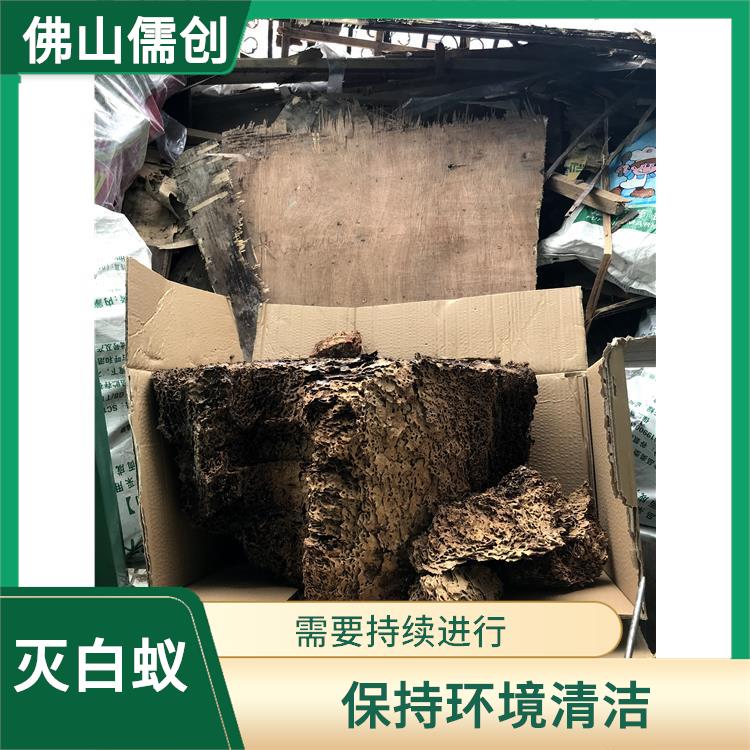 蓬江区白蚁防治哪家好 蜱虫 科学消杀 售后无忧