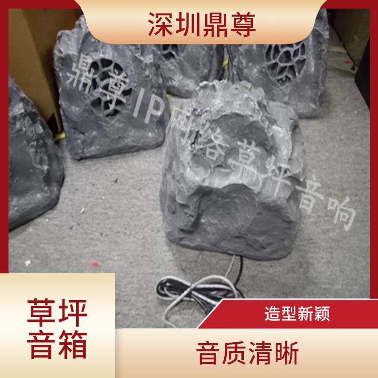 公園IP網(wǎng)絡(luò)草地有源音箱報(bào)價(jià)廠家 覆蓋面廣 可以放置在草坪上