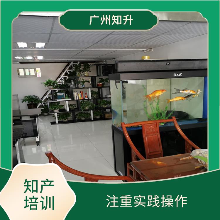 阳江企业知产培训办理流程有那些 注重实践操作