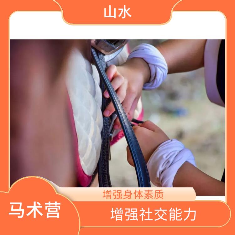 广州国际马术营报名 培养立自主的能力 培养青少年的团队意识