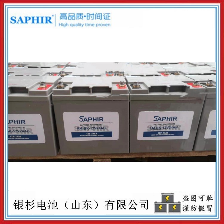 时高SAPHIR蓄电池FM-BK-12V24AH机房 基站UPS应急电源用12V-24AH铅酸电池