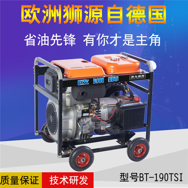 190a柴油发电电焊机 (4)