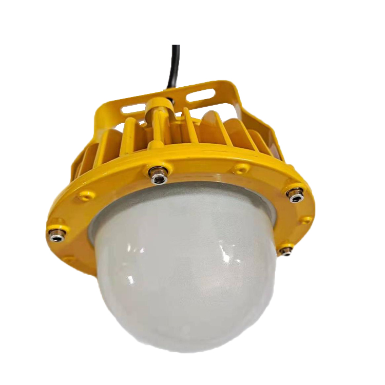 LED免维护防爆灯 HM1002平台灯