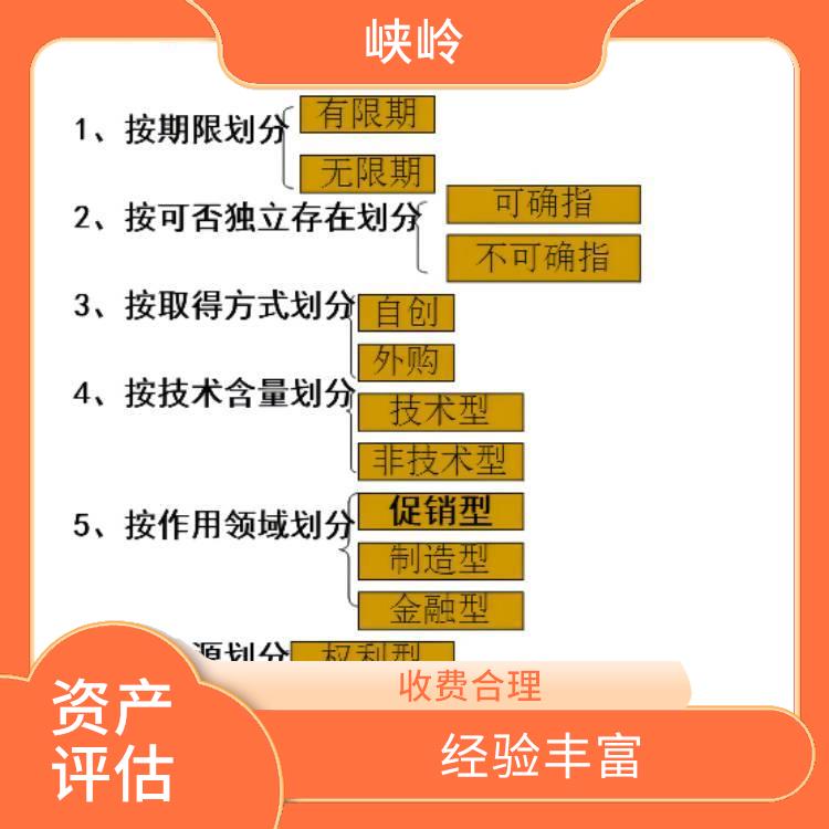 重庆资质证书资产评估 服务完善 全程标准化操作