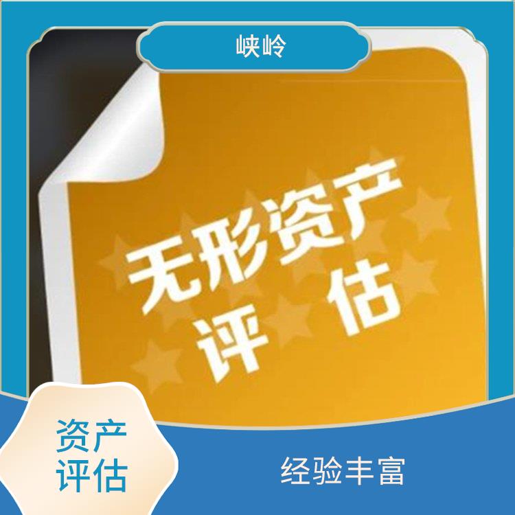 发明技术资产评估 多年评估经验 一对一服务