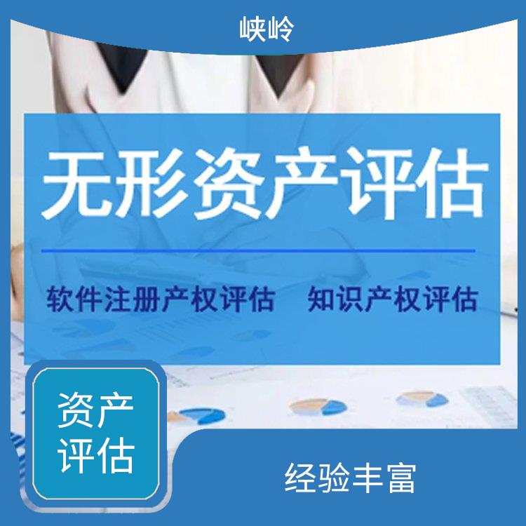四川商标资产评估流程 评估效率高 评估业务范围广