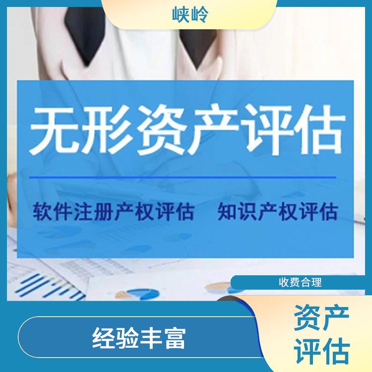 重庆无形资产评估政策 多年评估经验