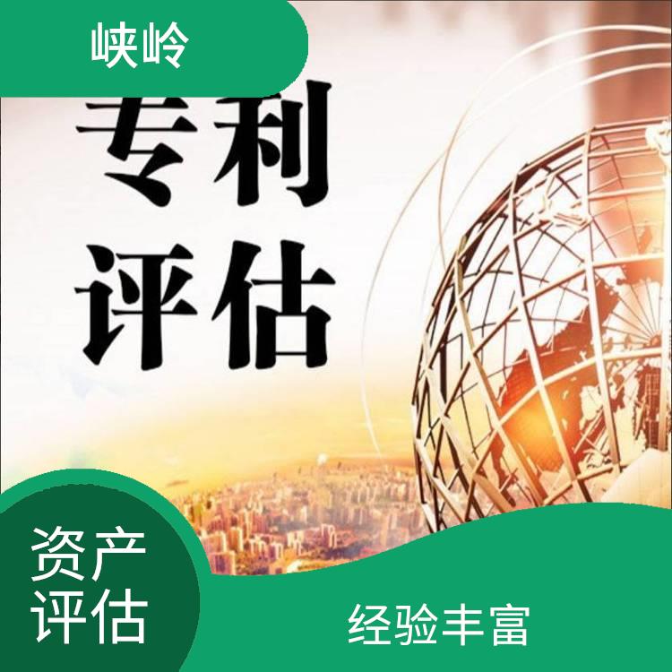 四川著作权资产评估政策 评估流程标准化 报告严谨