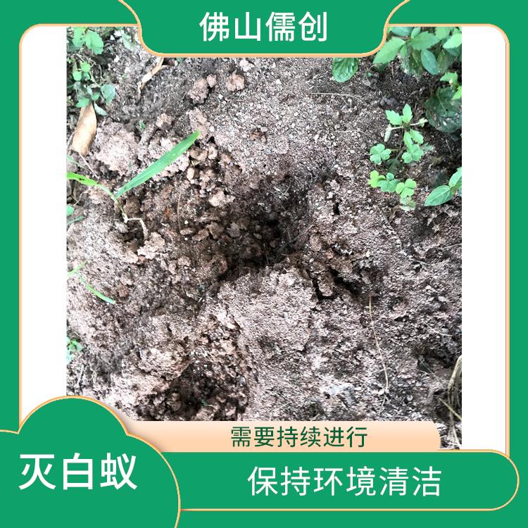 杨和镇灭白蚁公司 害虫防治 多种方式进行消除