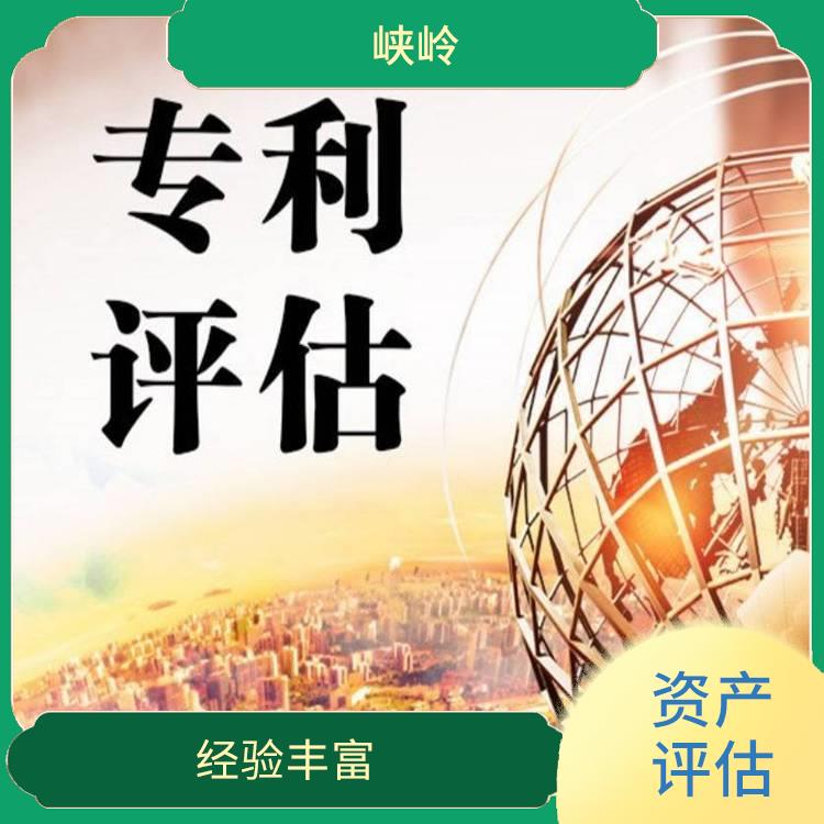 四川著作权资产评估政策 服务完善 一对一服务