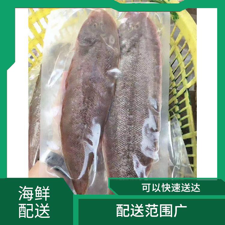 东莞茶山海鲜配送公司电话 时效性较强