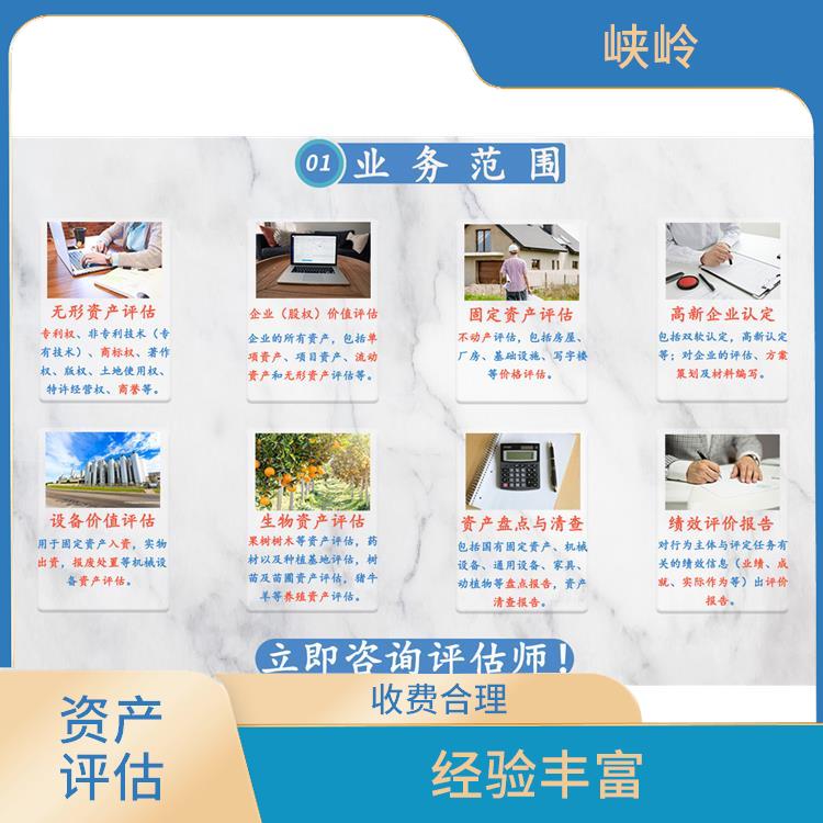 发明技术资产评估需要提供资料