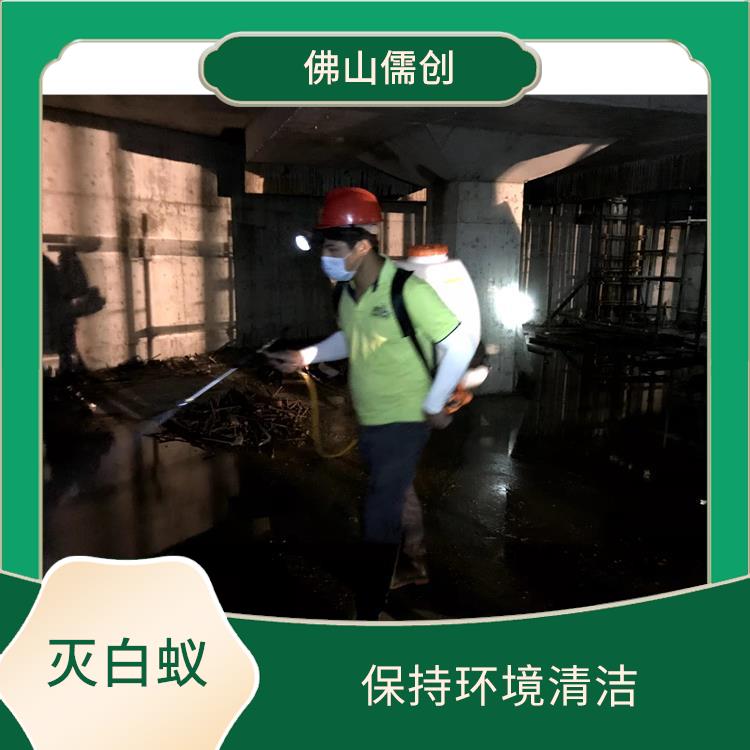 荷城街道灭白蚁 灭鼠 科学消杀 售后无忧